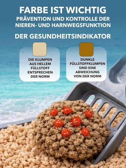 Tofu based Flushable Clumping Cat Litter I Antibacterial Tofu Cat Litter | Odour-Inhibiting & Dust Free | Absorbs 9 Times Its Weight | Better than Recycled Paper Based Products | 6 L