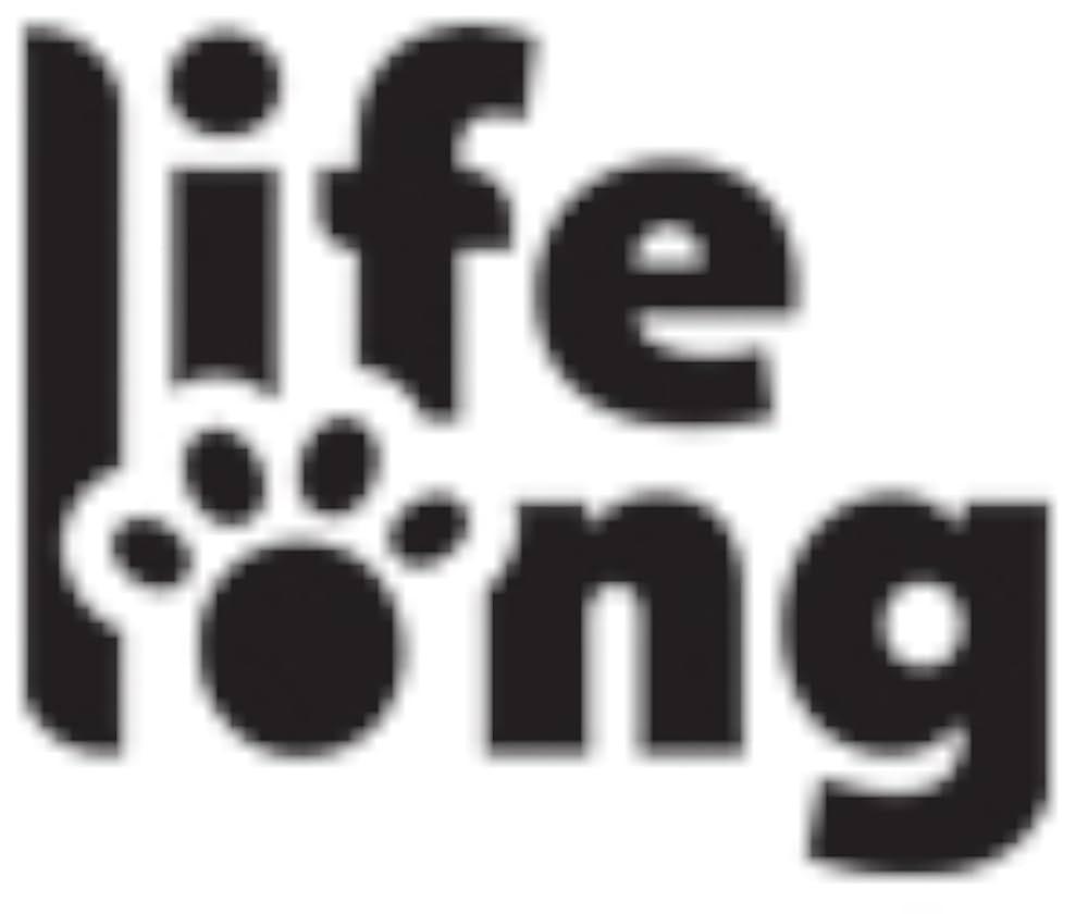 Shampooing antibatterico pour chiens et chats | Shampooing sensible pour chiens contre le prurit et la forforation | Shampooing nutritif pour chien à base de zinc piritione | 300 ml