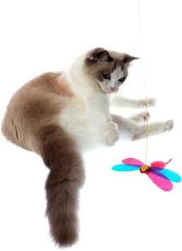 Juguete para gatos | Pesca interactiva para gatos | Teaser-Angel con libélula | Movimiento impredecible | Para gatos