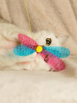 Juguete para gatos | Pesca interactiva para gatos | Teaser-Angel con libélula | Movimiento impredecible | Para gatos