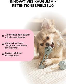 Dog Toothbrushes Toy 2-in-1 - Chew Toy for Teeth Cleaning & Gum Massage - Interactive Dental Care for Dogs - Robust & Durable for Daily Dental Care
