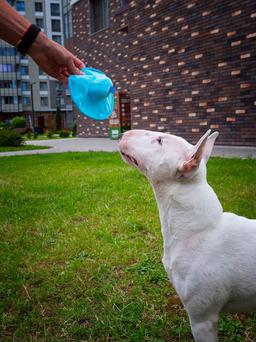 Dog Toy Alien Blue Frisbee - Soft Plush Flying Disc with Squeaker & Bell - For Small Dogs & Puppies