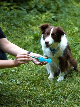 Dumbbell Dog Toy for Small Dogs, Chew Toy for Dental Care with Treat Compartment, Aqua, Soft TPR Material