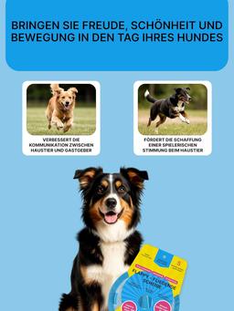 Frisbee für Hund | Aller Rassen | Wurfscheibe Hundefrisbee mit Weichem Material | Helle Farbe Hunde Frisbee Scheibe Fördert Bewegung, Ausdauer & Bindung | Größe S (12cm Durchmesser) | Blau