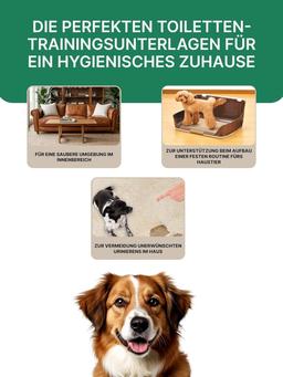 44 x Absorbent Dog House Training Pads 44×59cm