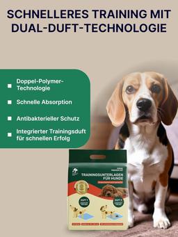 Dog Training Pads, 160 Pieces, 32 x 44 cm, Absorbent Puppy Pads with Fragrance, Multi-Layer Absorbent Core with Super Absorber, Waterproof Pad, Odour Control, Training Pads for Dogs