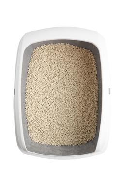 Product CLTO711119 photo 9