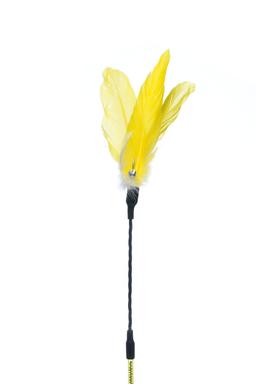 Produkt CTTR844788 Bild 25
