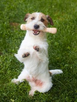 Produkt DTIT853728 Bild 4