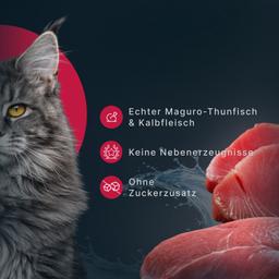 Katzen Creme Mousse – Thunfisch (Maguro) & Kalb, funktionales Nassfutter zur Unterstützung der Gelenke & Beweglichkeit, 