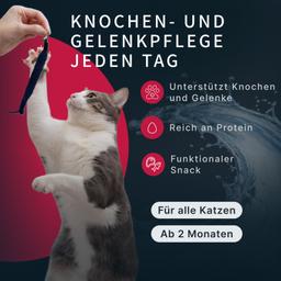 Katzen Creme Mousse – Thunfisch (Maguro) & Kalb, funktionales Nassfutter zur Unterstützung der Gelenke & Beweglichkeit, 