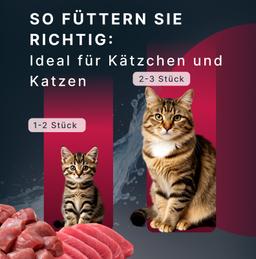 Katzen Creme Mousse – Thunfisch (Maguro) & Kalb, funktionales Nassfutter zur Unterstützung der Gelenke & Beweglichkeit, 