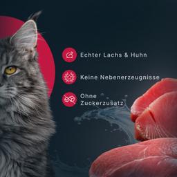 Katzen Creme Mousse – Lachs, funktionales Nassfutter zur Unterstützung des Immunsystems, leicht verdaulich, für Kitten &