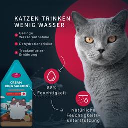 Katzen Creme Mousse – Lachs, funktionales Nassfutter zur Unterstützung des Immunsystems, leicht verdaulich, für Kitten &