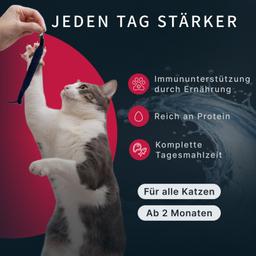 Katzen Creme Mousse – Lachs, funktionales Nassfutter zur Unterstützung des Immunsystems, leicht verdaulich, für Kitten &