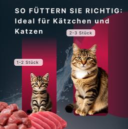 Katzen Creme Mousse – Lachs, funktionales Nassfutter zur Unterstützung des Immunsystems, leicht verdaulich, für Kitten &