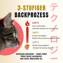 Ofengebackenes Trockenfutter für Kitten 500 g
