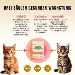 Ofengebackenes Trockenfutter für Kitten 500 g