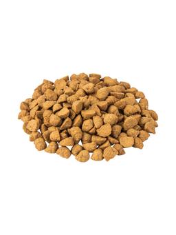 Croquettes cuites au four pour chatons 500 g 4