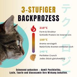 Ofengebackenes Trockenfutter für ausgewachsene Katzen 500 g