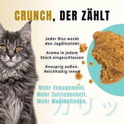 Ofengebackenes Trockenfutter für Senior-Katzen 500 g