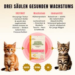 Ofengebackenes Trockenfutter für Kitten 2 kg