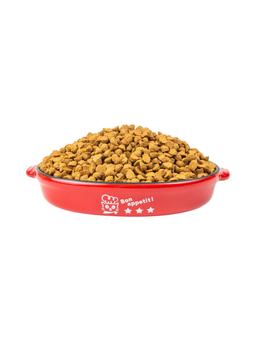 Ofengebackenes Trockenfutter für Kitten 2 kg