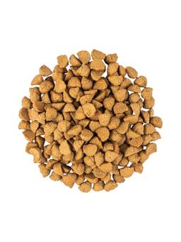 Ofengebackenes Trockenfutter für Kitten 2 kg