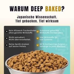 Baked Dry Food for Adult Cats 2kg