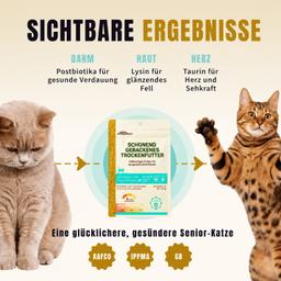 Baked Dry Food for Adult Cats 2kg