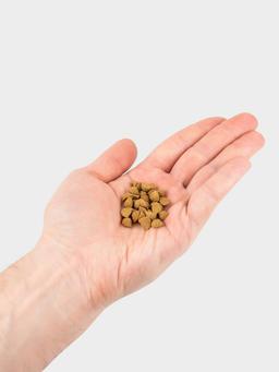 Ofengebackenes Trockenfutter für ausgewachsene Katzen 2 kg