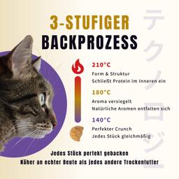 Ofengebackenes Trockenfutter für Senior-Katzen 2 kg