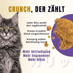 Ofengebackenes Trockenfutter für Senior-Katzen 2 kg