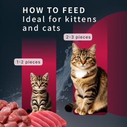 „Moment des Glücks“ Nassfutter Katzen Thunfisch, Premium Rezeptur für Augen & Fellpflege, getreidefrei, saftig, hochwert