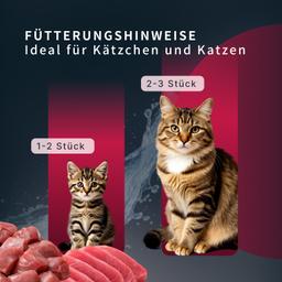 „Moment des Glücks“ Nassfutter Katzen Thunfisch, Premium Rezeptur für Augen & Fellpflege, getreidefrei, saftig, hochwert