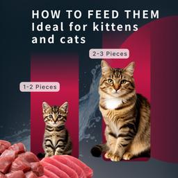 Nassfutter für Katzen „Moment des Glücks“ mit Sardine & Thunfisch, funktionale Rezeptur für Fellpflege, getreidefrei, sa