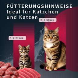 Nassfutter für Katzen „Moment des Glücks“ mit Sardine & Thunfisch, funktionale Rezeptur für Fellpflege, getreidefrei, sa
