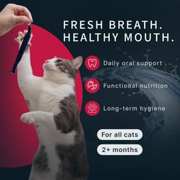 Nassfutter für Katzen „Moment des Glücks“ mit Krabbe & Thunfisch, für Mundhygiene, getreidefrei, saftig, hochwertig, Pre