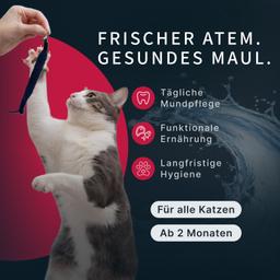 Nassfutter für Katzen „Moment des Glücks“ mit Krabbe & Thunfisch, für Mundhygiene, getreidefrei, saftig, hochwertig, Pre
