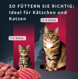 Nassfutter für Katzen „Moment des Glücks“ mit Garnelen & Bonito Thunfisch, Verdauung unterstützen, getreidefrei, saftig,