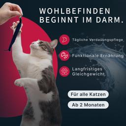 Nassfutter für Katzen „Moment des Glücks“ mit Garnelen & Bonito Thunfisch, Verdauung unterstützen, getreidefrei, saftig,
