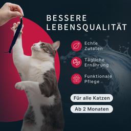 Katzen Nassfutter „Moment des Glücks“ – Thunfisch & Jakobsmuschel mit Bonito, Premium Katzenfutter im Beutel, für steril