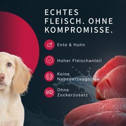Hunde Creme-Mousse Hühnerleber & Gemüse, weicher Hundesnack, funktional für Immunsystem Unterstützung, Welpen & Hunde, H