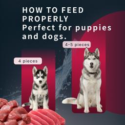 Hunde Creme-Mousse Ente & Gemüse, Hundesnack weich, funktional für Harnwege, Welpen & Hunde, hochwertig, Hundeleckerli 7