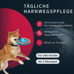 Hunde Creme-Mousse Ente & Gemüse, Hundesnack weich, funktional für Harnwege, Welpen & Hunde, hochwertig, Hundeleckerli 7