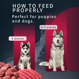 Hunde Creme-Mousse Ente Leber & Gemüse, Hundesnack weich, für Haut & Fell Unterstützung, Welpen & Hunde, hochwertig, Hun