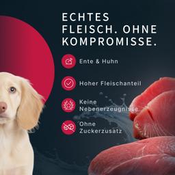 Hunde Creme-Mousse Ente Leber & Gemüse, Hundesnack weich, für Haut & Fell Unterstützung, Welpen & Hunde, hochwertig, Hun