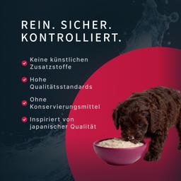 Hunde Creme-Mousse Ente Leber & Gemüse, Hundesnack weich, für Haut & Fell Unterstützung, Welpen & Hunde, hochwertig, Hun