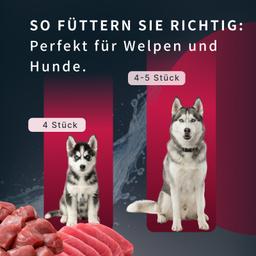 Hunde Creme-Mousse Ente Leber & Gemüse, Hundesnack weich, für Haut & Fell Unterstützung, Welpen & Hunde, hochwertig, Hun
