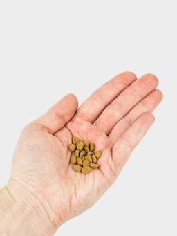 Alimento seco horneado para cachorros 500 g 9